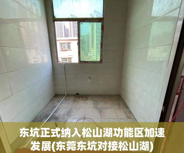 东坑正式纳入松山湖功能区加速发展(东莞东坑对接松山湖)