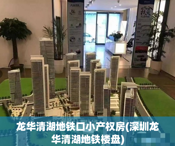 龙华清湖地铁口小产权房(深圳龙华清湖地铁楼盘) 龙华清湖地铁口小产权房(深圳龙华清湖地铁楼盘)