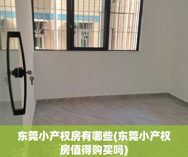 东莞小产权房有哪些(东莞小产权房值得购买吗) 东莞小产权房有哪些(东莞小产权房值得购买吗)