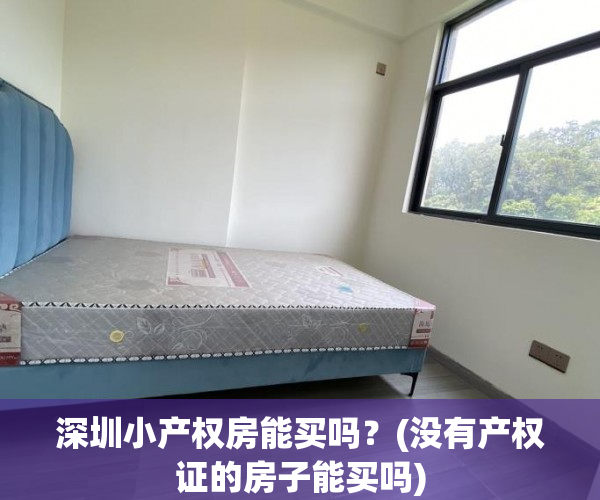 深圳小产权房能买吗?(没有产权证的房子能买吗) 深圳小产权房能买吗?(没有产权证的房子能买吗)