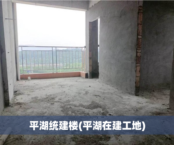 平湖统建楼(平湖在建工地) 平湖统建楼(平湖在建工地)