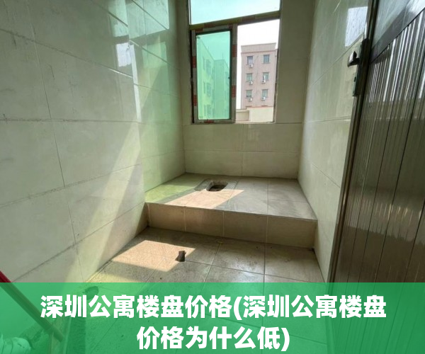深圳公寓楼盘价格(深圳公寓楼盘价格为什么低)