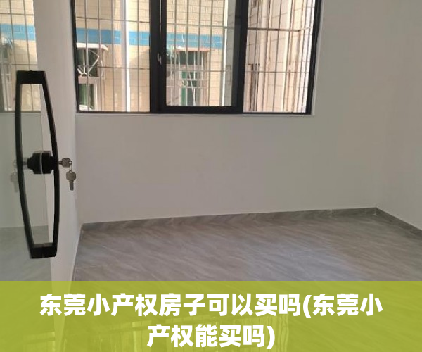 东莞小产权房子可以买吗(东莞小产权能买吗)