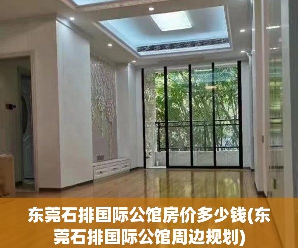 东莞石排国际公馆房价多少钱(东莞石排国际公馆周边规划)