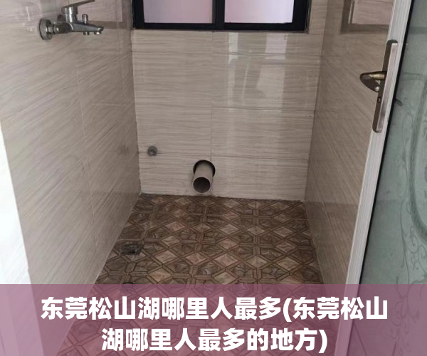 东莞松山湖哪里人最多(东莞松山湖哪里人最多的地方)