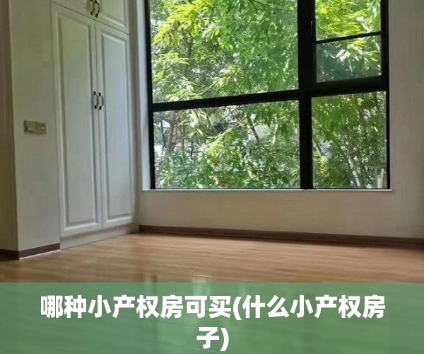哪种小产权房可买(什么小产权房子) 哪种小产权房可买(什么小产权房子)