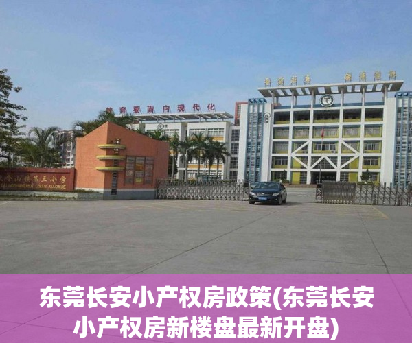 东莞长安小产权房政策(东莞长安小产权房新楼盘最新开盘) 东莞长安小产权房政策(东莞长安小产权房新楼盘最新开盘)