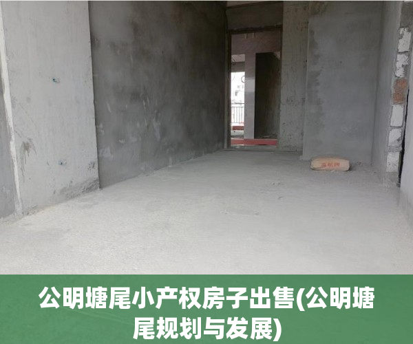 公明塘尾小产权房子出售(公明塘尾规划与发展)