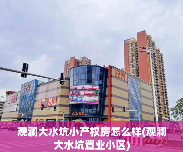 观澜大水坑小产权房怎么样(观澜大水坑置业小区)