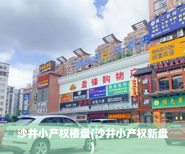 沙井小产权楼盘(沙井小产权新盘)