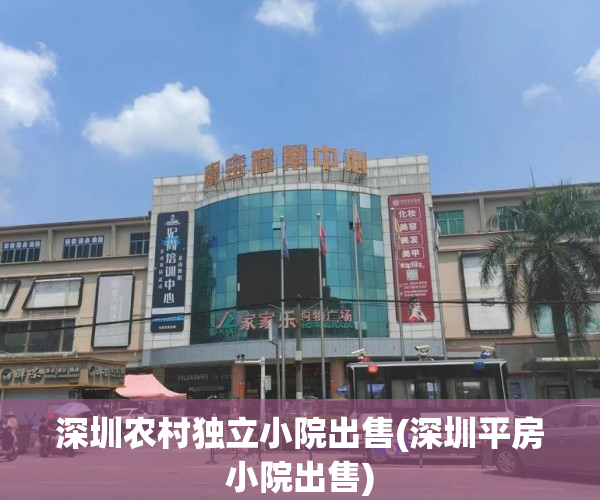 深圳农村独立小院出售(深圳平房小院出售)