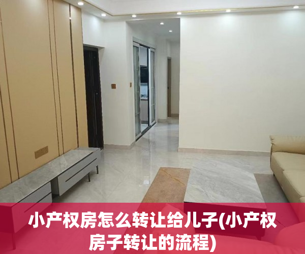 小产权房怎么转让给儿子(小产权房子转让的流程)