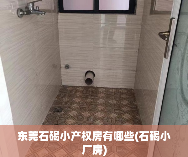 东莞石碣小产权房有哪些(石碣小厂房) 东莞石碣小产权房有哪些(石碣小厂房)