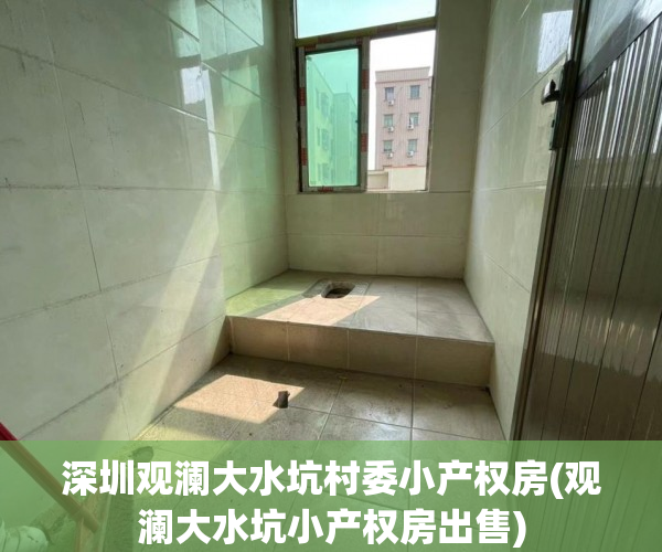 深圳观澜大水坑村委小产权房(观澜大水坑小产权房出售)
