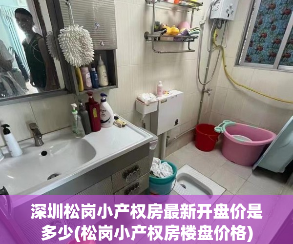 深圳松岗小产权房最新开盘价是多少(松岗小产权房楼盘价格) 深圳松岗小产权房最新开盘价是多少(松岗小产权房楼盘价格)