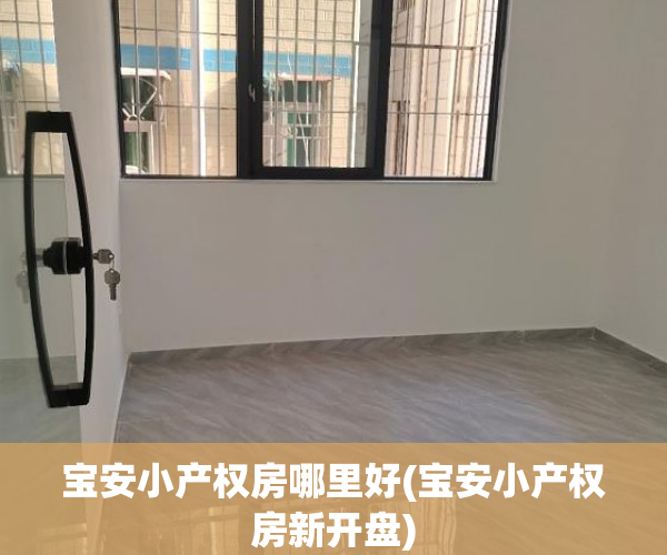 宝安小产权房哪里好(宝安小产权房新开盘) 宝安小产权房哪里好(宝安小产权房新开盘)