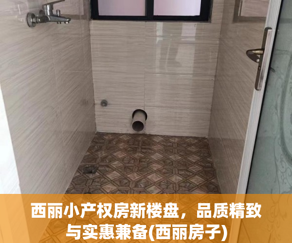 西丽小产权房新楼盘，品质精致与实惠兼备(西丽房子)