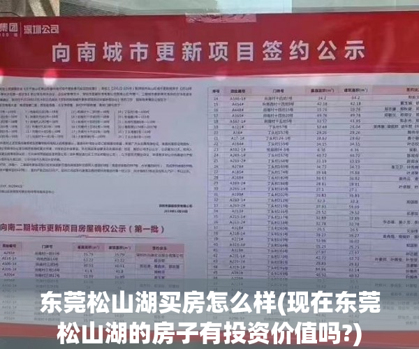东莞松山湖买房怎么样(现在东莞松山湖的房子有投资价值吗?) 东莞松山湖买房怎么样(现在东莞松山湖的房子有投资价值吗?)