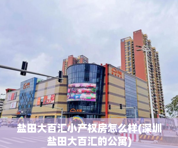 盐田大百汇小产权房怎么样(深圳盐田大百汇的公寓) 盐田大百汇小产权房怎么样(深圳盐田大百汇的公寓)
