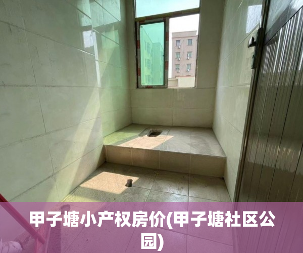 甲子塘小产权房价(甲子塘社区公园)