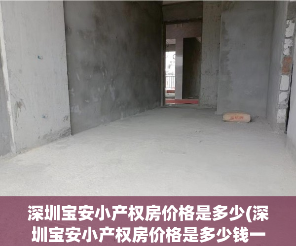 深圳宝安小产权房价格是多少(深圳宝安小产权房价格是多少钱一平)