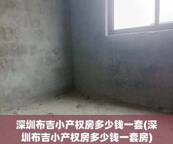 深圳布吉小产权房多少钱一套(深圳布吉小产权房多少钱一套房)