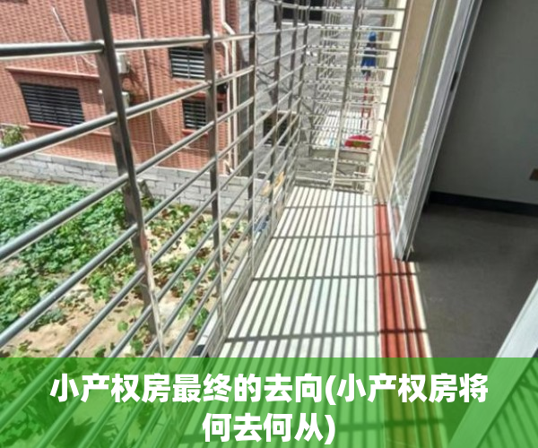 小产权房最终的去向(小产权房将何去何从) 小产权房最终的去向(小产权房将何去何从)