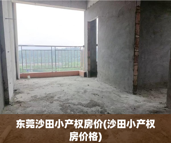 东莞沙田小产权房价(沙田小产权房价格) 东莞沙田小产权房价(沙田小产权房价格)
