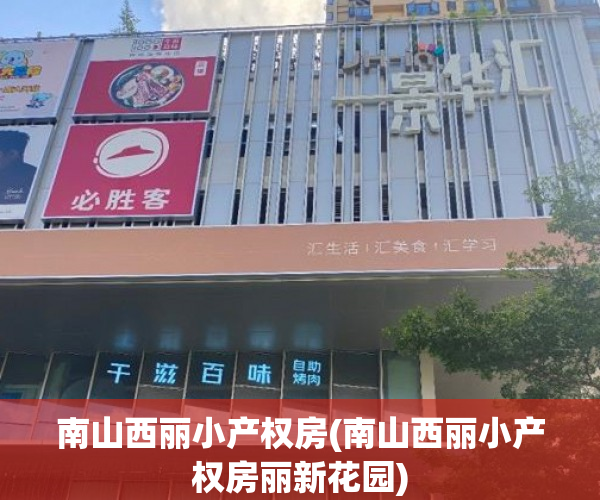 南山西丽小产权房(南山西丽小产权房丽新花园) 南山西丽小产权房(南山西丽小产权房丽新花园)