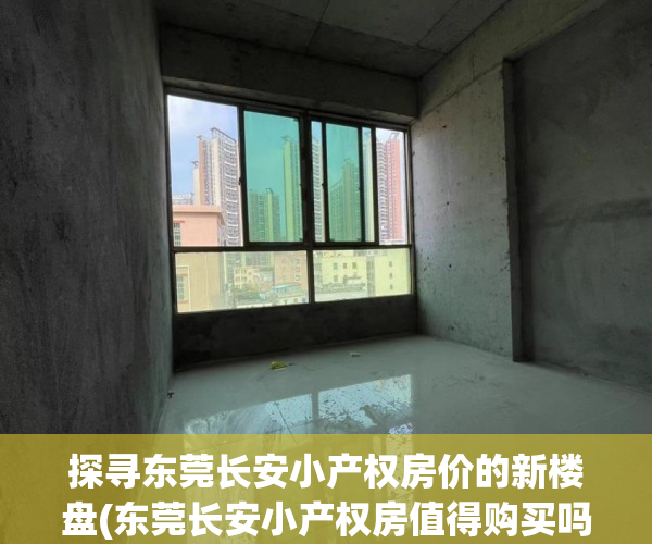 探寻东莞长安小产权房价的新楼盘(东莞长安小产权房值得购买吗)