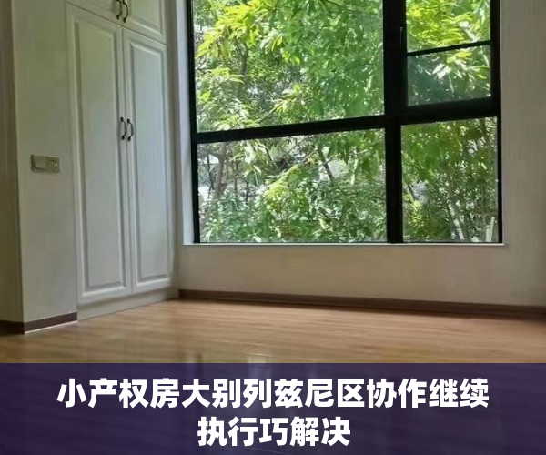 小产权房大别列兹尼区协作继续执行巧解决
