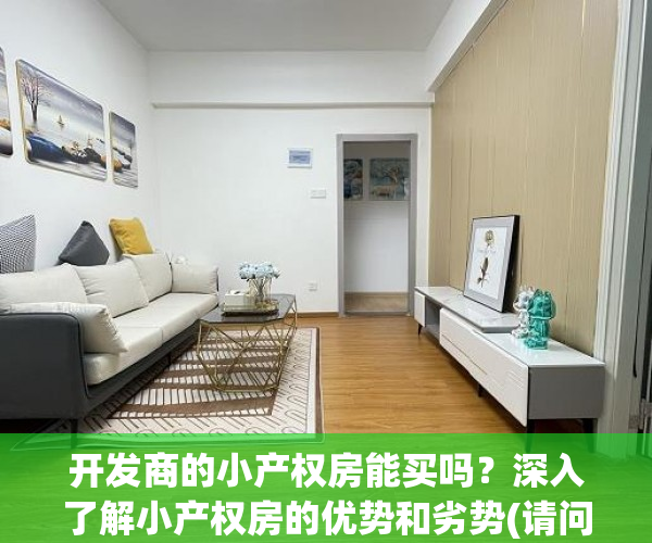 开发商的小产权房能买吗？深入了解小产权房的优势和劣势(请问开发商搞的小产权有保障吗?)
