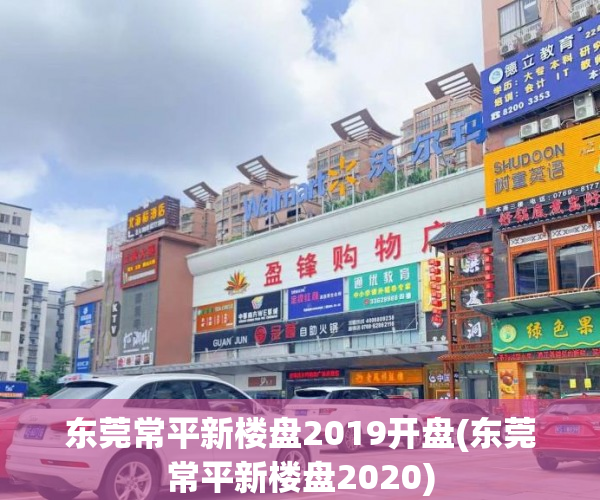 东莞常平新楼盘2019开盘(东莞常平新楼盘2020)