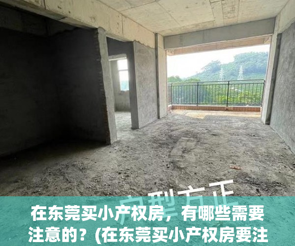 在东莞买小产权房，有哪些需要注意的？(在东莞买小产权房要注意事项)