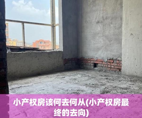 小产权房该何去何从(小产权房最终的去向) 小产权房该何去何从(小产权房最终的去向)