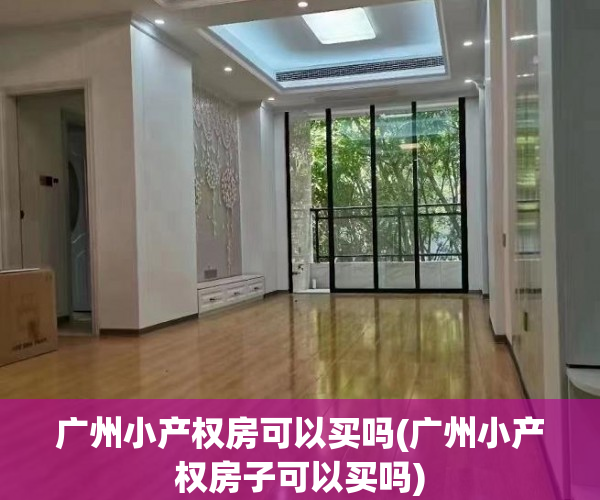 广州小产权房可以买吗(广州小产权房子可以买吗) 广州小产权房可以买吗(广州小产权房子可以买吗)