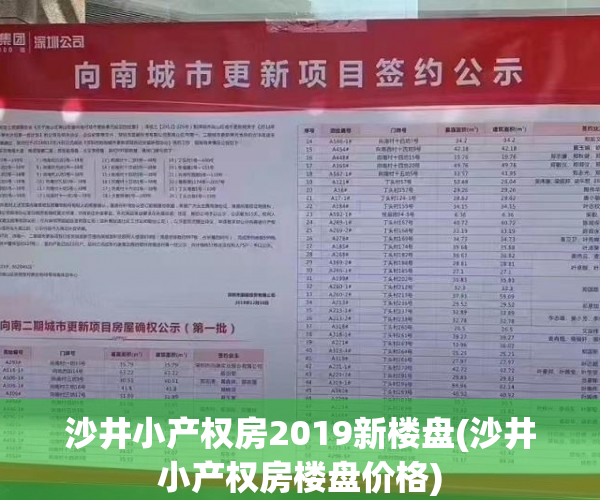 沙井小产权房2019新楼盘(沙井小产权房楼盘价格)