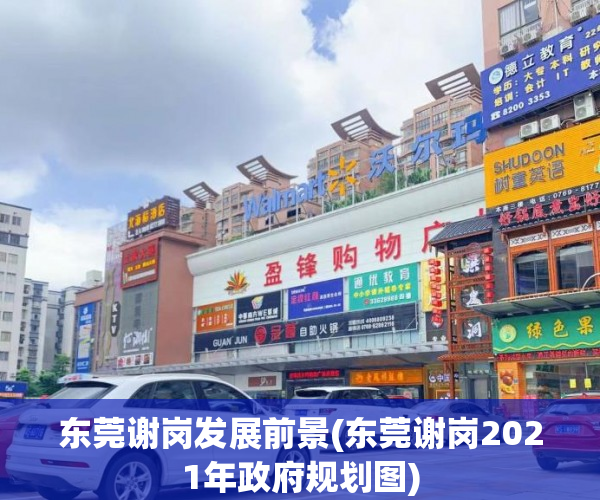 东莞谢岗发展前景(东莞谢岗2021年政府规划图) 东莞谢岗发展前景(东莞谢岗2021年政府规划图)