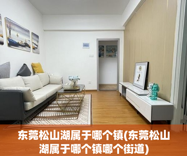 东莞松山湖属于哪个镇(东莞松山湖属于哪个镇哪个街道)