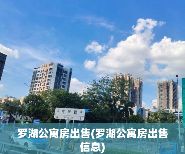 罗湖公寓房出售(罗湖公寓房出售信息) 罗湖公寓房出售(罗湖公寓房出售信息)