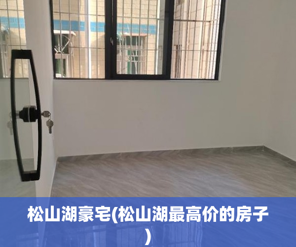 松山湖豪宅(松山湖最高价的房子)