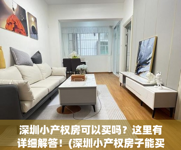 深圳小产权房可以买吗？这里有详细解答！(深圳小产权房子能买吗受法律保护吗)