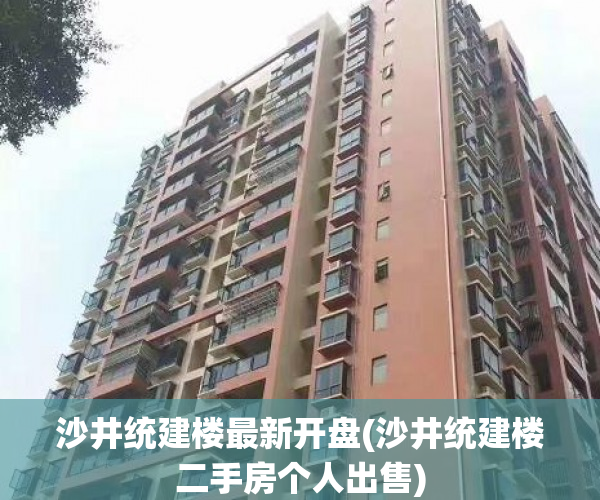 沙井统建楼最新开盘(沙井统建楼二手房个人出售)