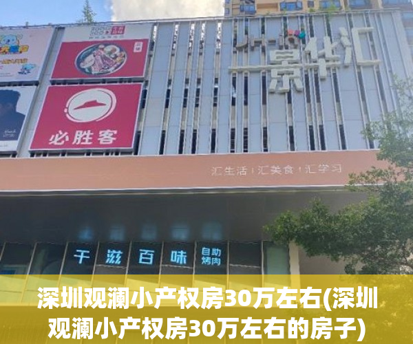 深圳观澜小产权房30万左右(深圳观澜小产权房30万左右的房子)