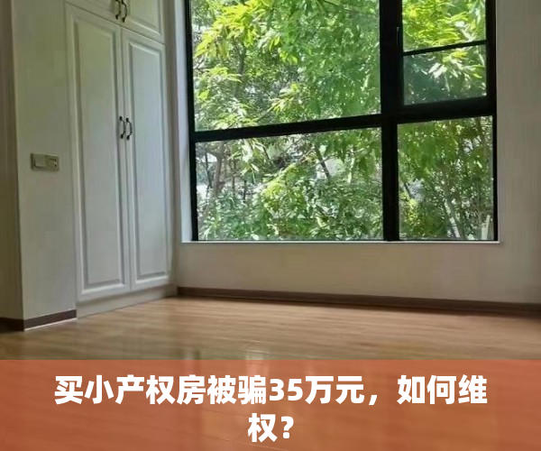 买小产权房被骗35万元，如何维权？