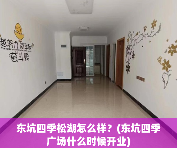 东坑四季松湖怎么样？(东坑四季广场什么时候开业)