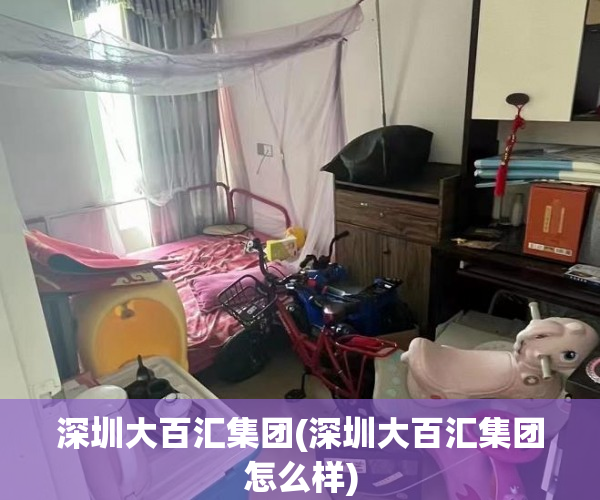 深圳大百汇集团(深圳大百汇集团怎么样) 深圳大百汇集团(深圳大百汇集团怎么样)
