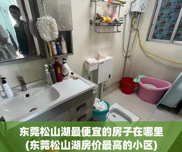东莞松山湖最便宜的房子在哪里(东莞松山湖房价最高的小区) 东莞松山湖最便宜的房子在哪里(东莞松山湖房价最高的小区)