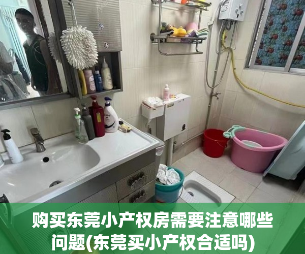 购买东莞小产权房需要注意哪些问题(东莞买小产权合适吗)