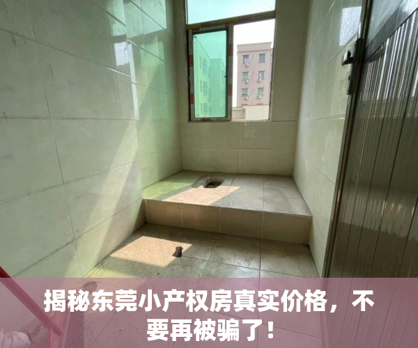 揭秘东莞小产权房真实价格，不要再被骗了！